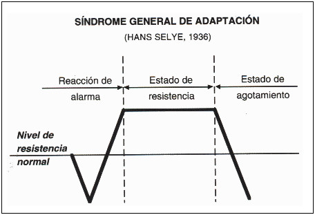 sindrome adaptacion